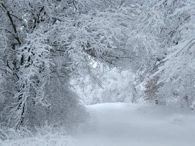 Winter wonderland at Trempealeau National Wildlife Refuge photo