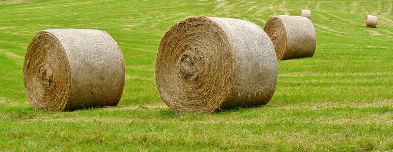 Hay agriculture meadow photo