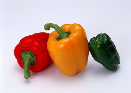 colored peppers over white background photo