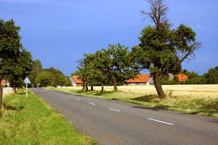 Rural landscape road photo