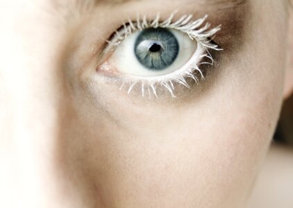 Cosmetics eye eyelashes