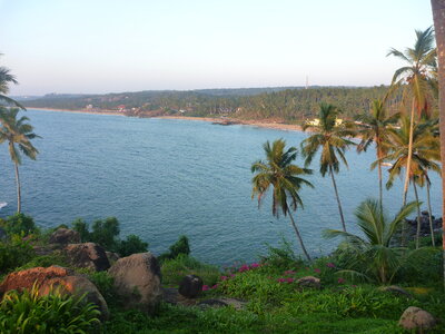 Beautiful Sea View Coconut Trees