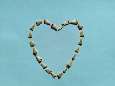 Beautiful Photo distorted shape heart
