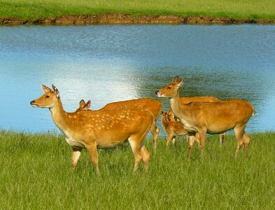 Nature outside lake