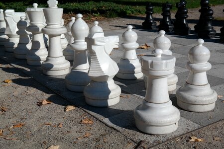 White figures figures chess pieces photo