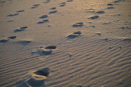 Sand winter sea sandy photo
