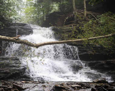 Ricketts Glen State Park