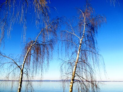 Romanshorn thurgau switzerland photo