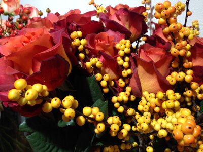 Autumn nature flower
