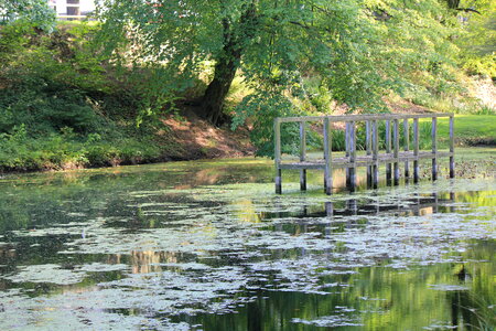 Jetty in a pond photo