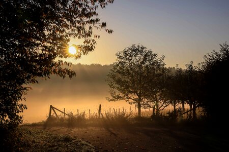 Daylight dusk evening