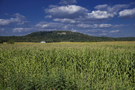 Cornfields, hill, and houses with clouds and sky photo