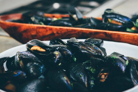 Mussels Seafood photo