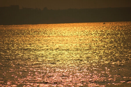 Yellow Sea Light photo