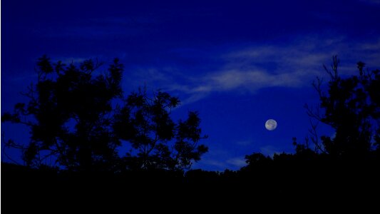 Dark blue sky silhouette photo