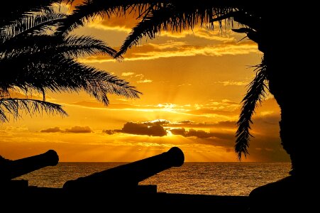 Cannons silhouettes palm trees