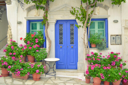 Door with Flower and Windows in Tinos Island of Greece photo