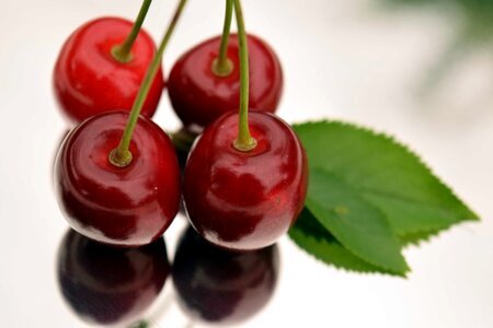 Berry calorie cherry photo