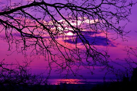 Nature twilight lake trasimeno photo