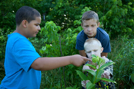 Kids in nature-2