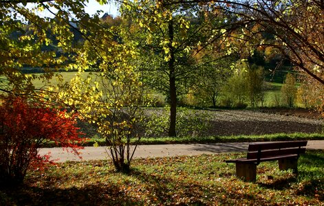 Autumn autumn season bench
