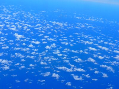 Blue white flight