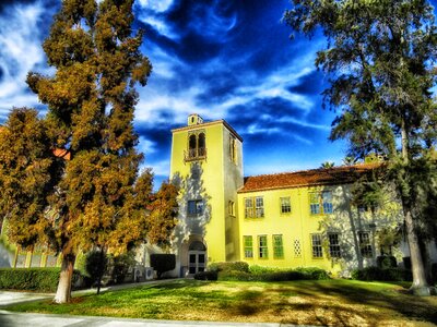 Architecture education trees