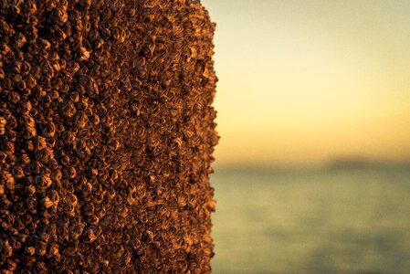Nature texture sea