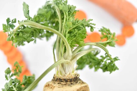 Details vegetables food photo