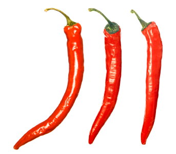 Juicy peppers photo