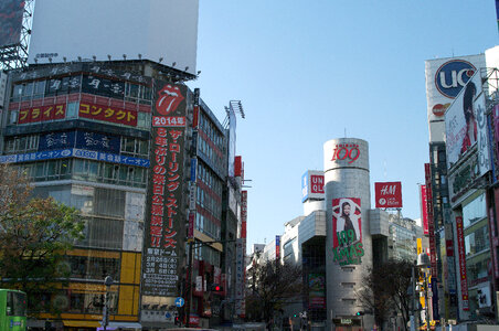 31 Shibuya photo