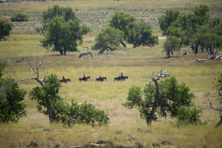 A group of young people horseback riding in the grassy field photo