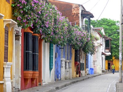 Street colorful buildings