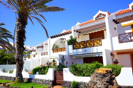 Sea view palm trees dream holiday
