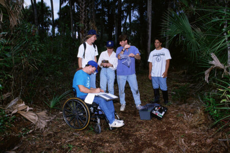 Group studies Pygmy rattlesnake