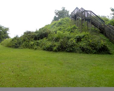 Domestic hill nature