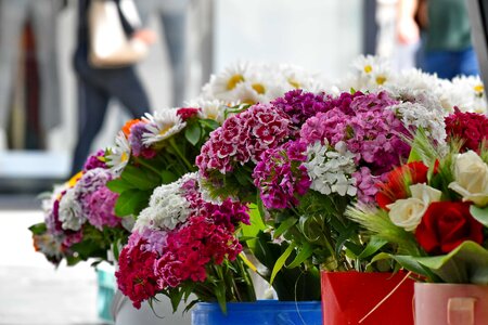 Bouquet carnation marketplace photo