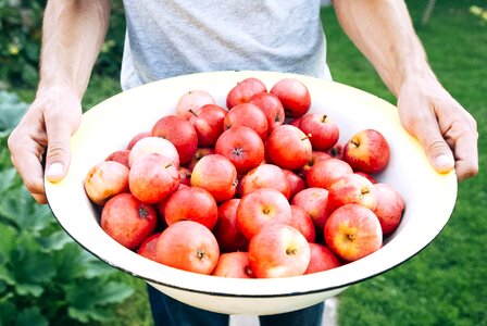 Apple bowl delicious photo