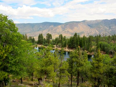 Nature camping summer camp photo