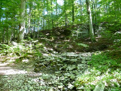 Louder origin lautertal furtlepass