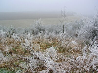 Cold frozen snow photo