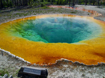 Morning Glory Pool at Yellowstone National Park, Wyoming photo