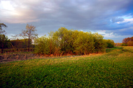 meadow at sunset photo