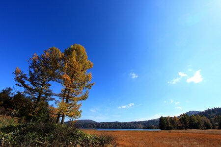 Autumn autumn season field photo