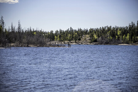 Man Fihsing on the Peninsula on the Ingraham Trail photo