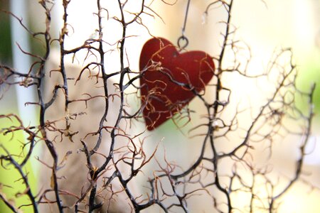 Deco heart romantic