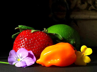 Beautiful Photo fruit 