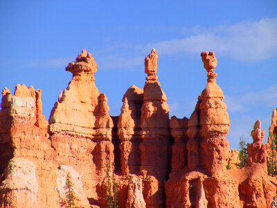 Rock formations at the top in Bryce Canyon National Park, Utah photo
