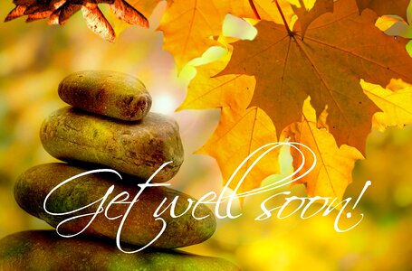 Trees leaves wellness