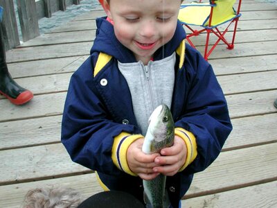Baby dock fish